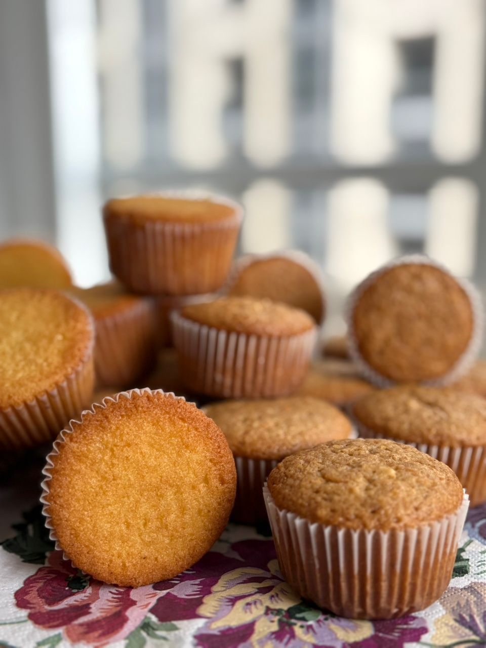 vanilla and chocolate cupcakes  bag of 6