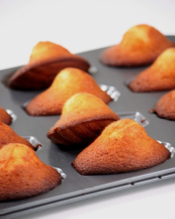 Madeleine box of 5